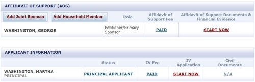 IV - Complete Online Visa Application